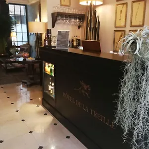 hotel-de-la-treille.lillehotels.org/